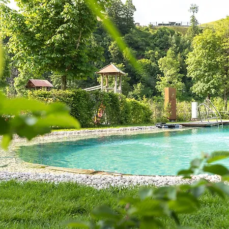 Aparthotel Liebe Heimat Saalbach-Hinterglemm