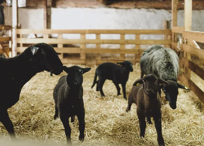 Liebe Heimat Aparthotel Saalbach-Hinterglemm