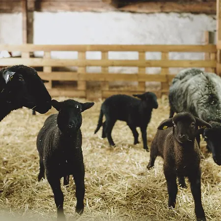 Liebe Heimat Aparthotel Saalbach-Hinterglemm